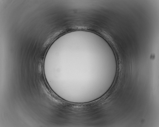 X0000115720537200911121105