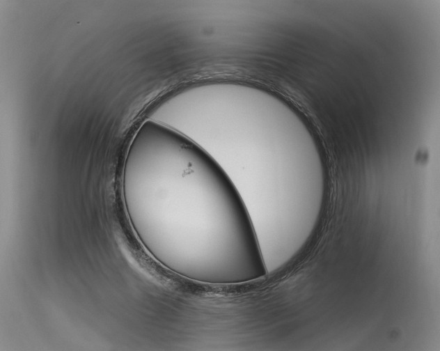 X0000115720538200911121105