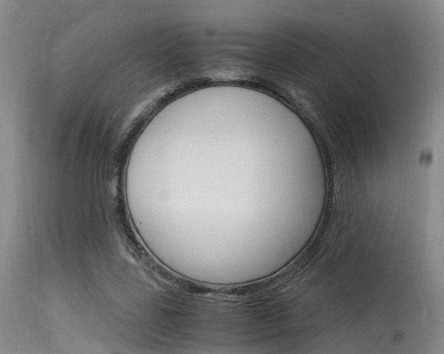 X0000115720539200911121105
