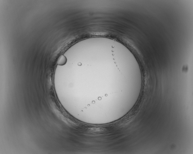 X0000115720541200911121105