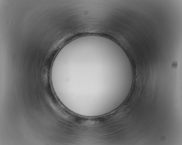 X0000115720542200911121105