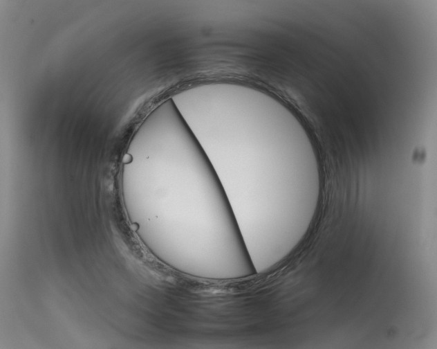 X0000115720543200911121105
