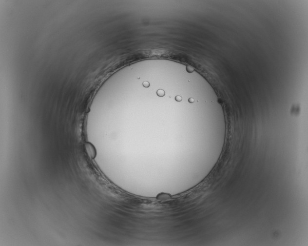 X0000115720545200911121105