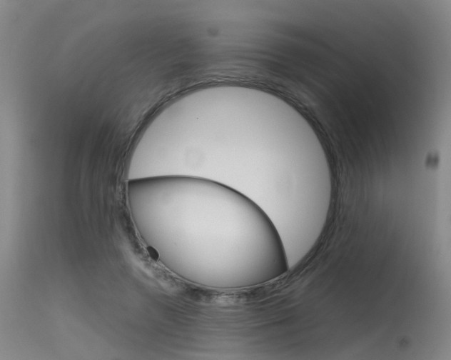 X0000115720546200911121105