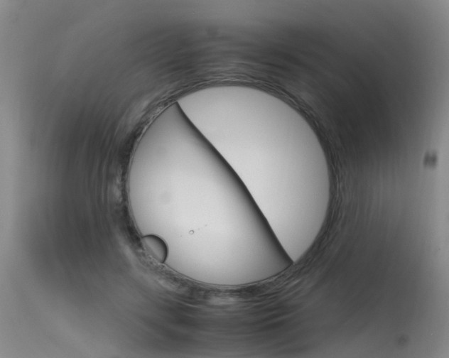 X0000115720547200911121105