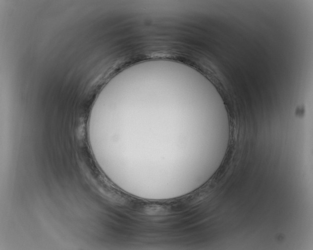 X0000115720549200911121105