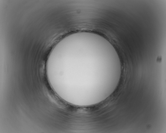 X0000115720550200911121105