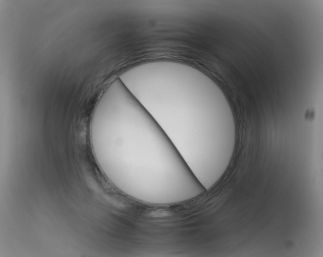 X0000115720551200911121106