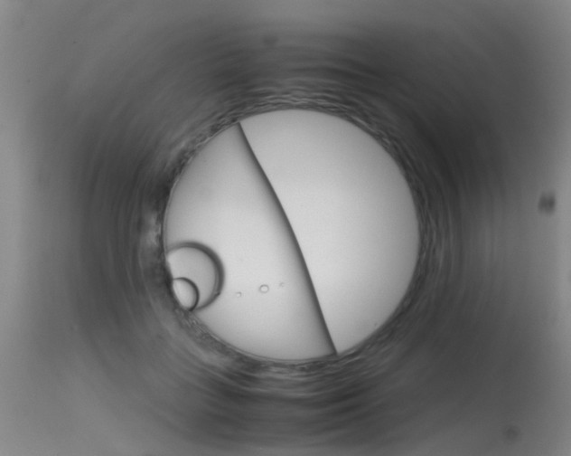X0000115720555200911121106