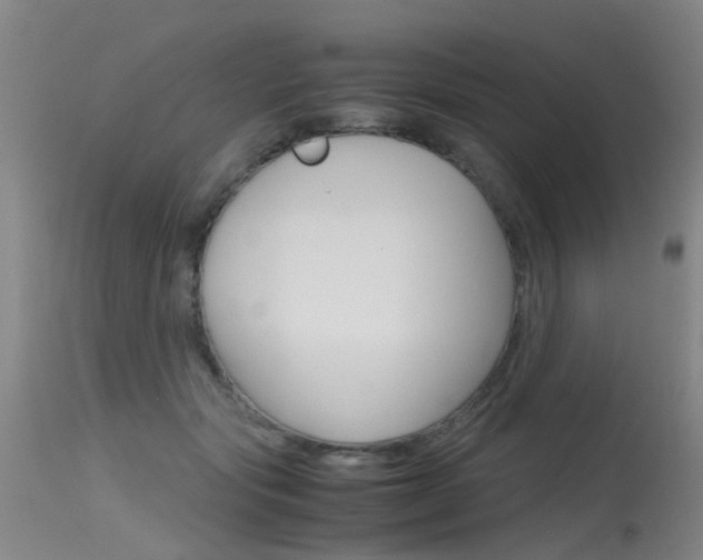 X0000115720557200911121106