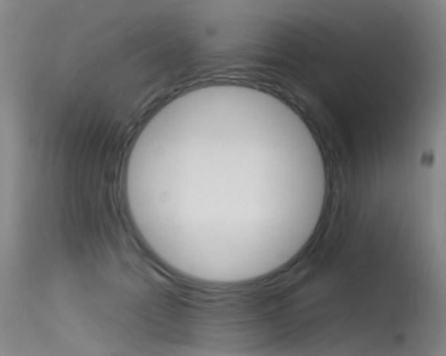 X0000115720558200911121106