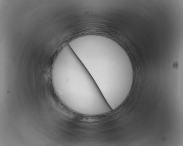 X0000115720559200911121106