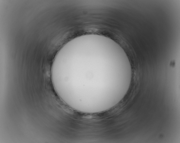 X0000115720561200911121106