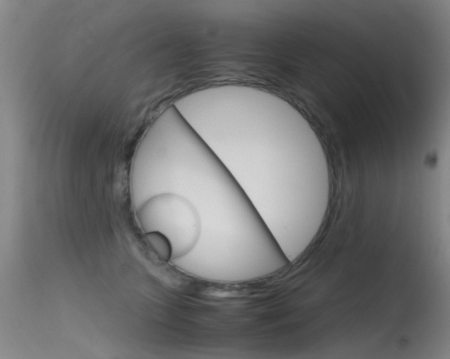 X0000115720563200911121106