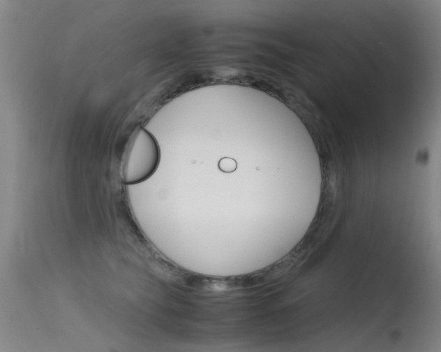 X0000115720565200911121106