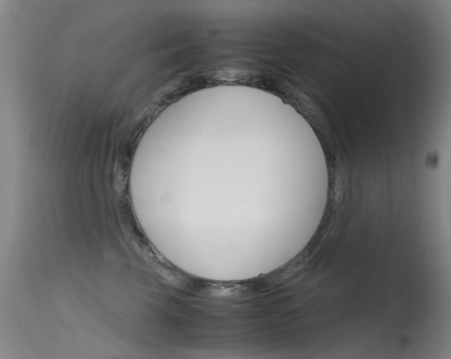 X0000115720569200911121106