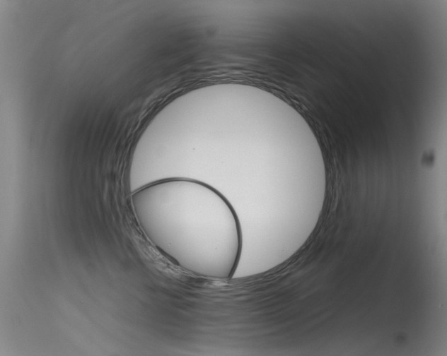 X0000115720570200911121106