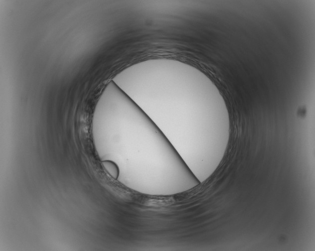 X0000115720571200911121106