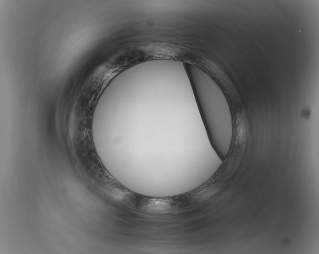 X0000115720573200911121106