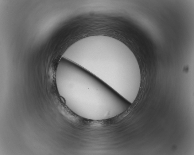 X0000115720574200911121106