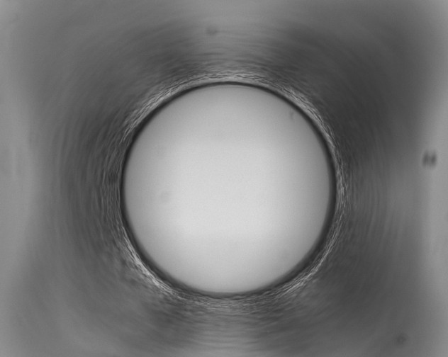 X0000115720577200911121105