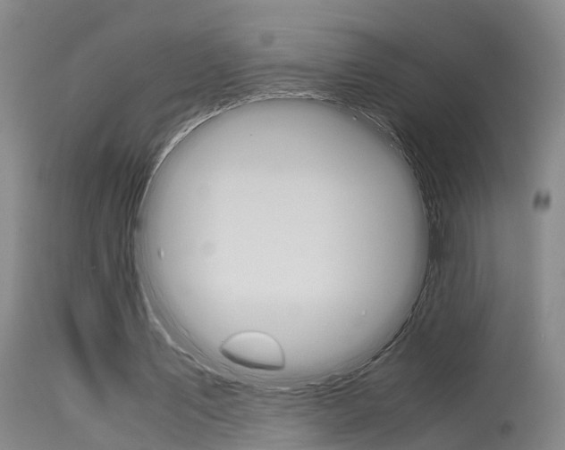 X0000115720579200911121105