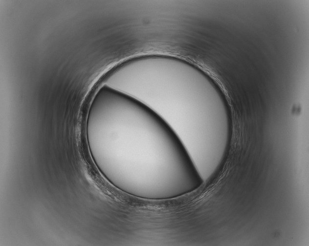 X0000115720580200911121105