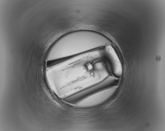 X0000115720581200911121105