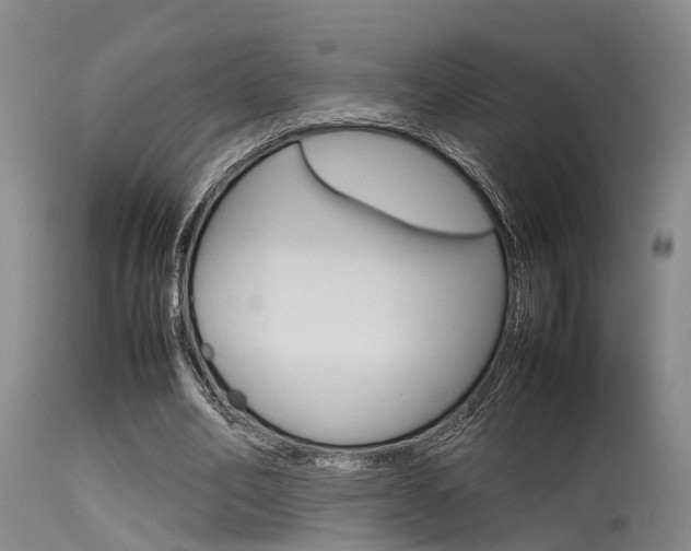 X0000115720582200911121105