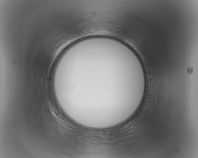 X0000115720583200911121105