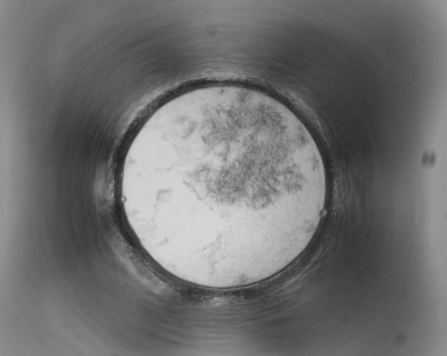 X0000115720584200911121105