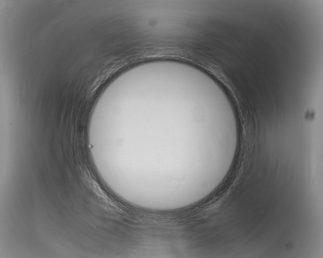 X0000115720585200911121105