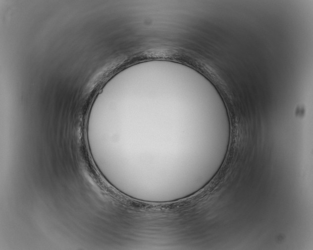X0000115720586200911121105