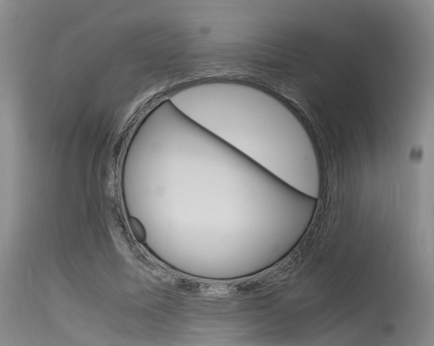 X0000115720587200911121105
