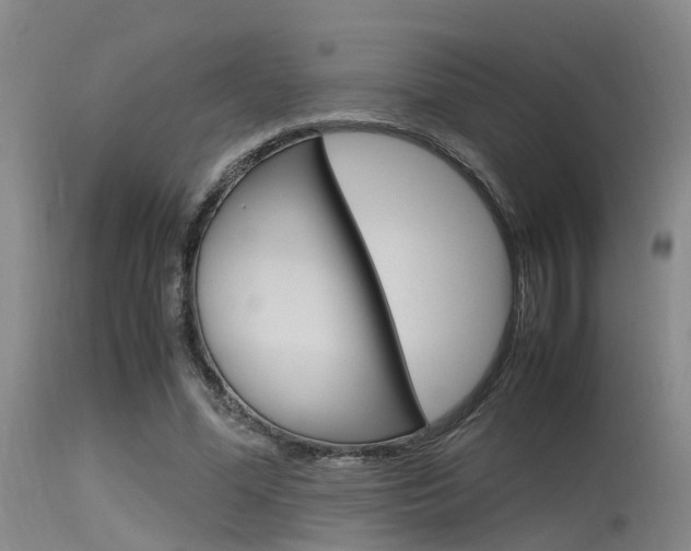 X0000115720588200911121105