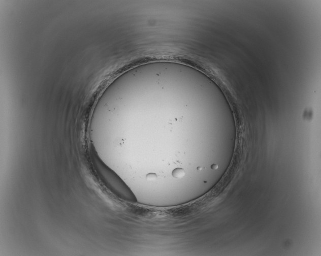 X0000115720589200911121105