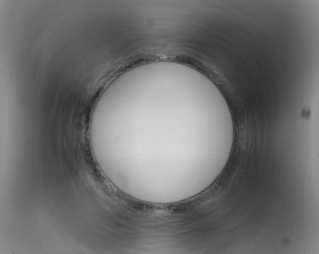 X0000115720594200911121105