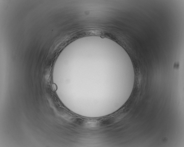 X0000115720595200911121105