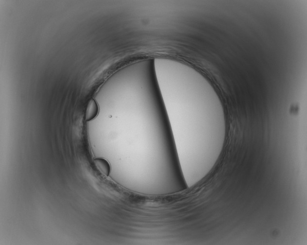 X0000115720596200911121105