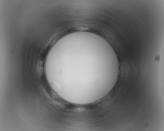 X0000115720598200911121105