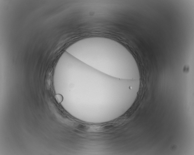 X0000115720599200911121105