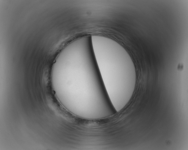 X0000115720600200911121105