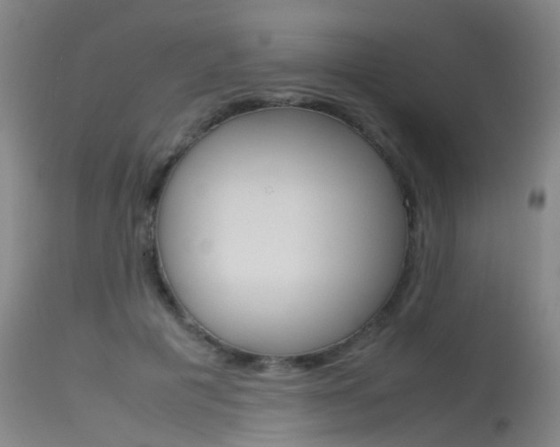 X0000115720601200911121105