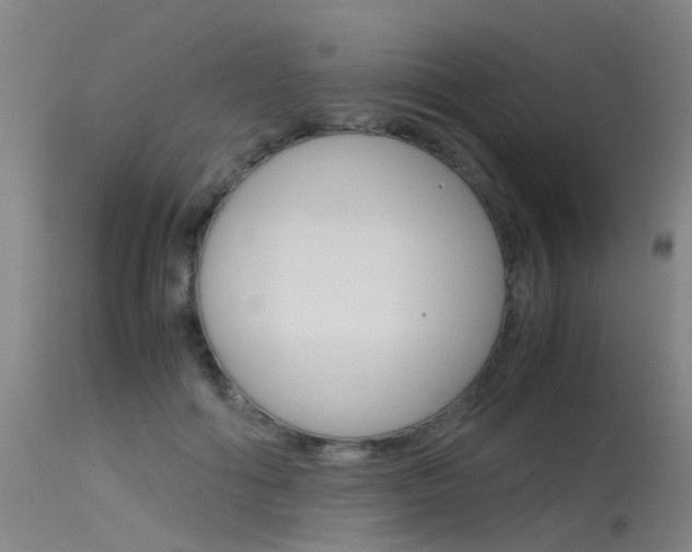 X0000115720602200911121105