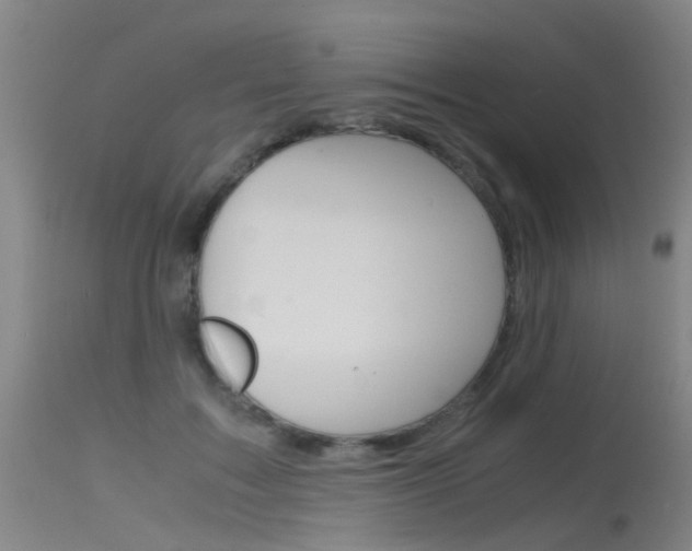 X0000115720603200911121105