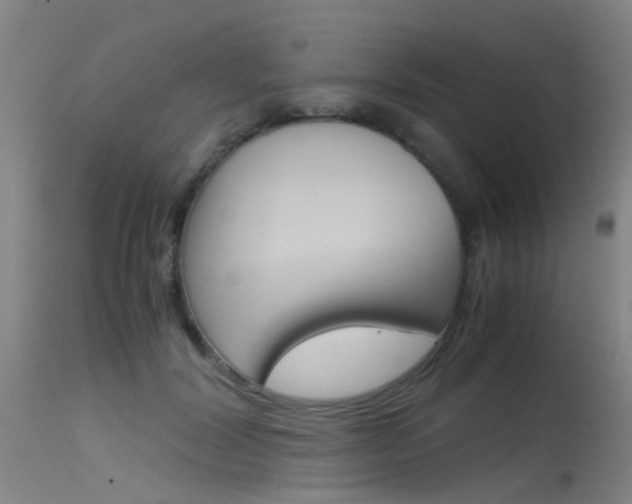 X0000115720604200911121105