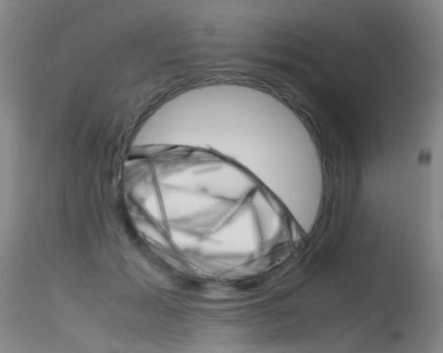 X0000115720605200911121105