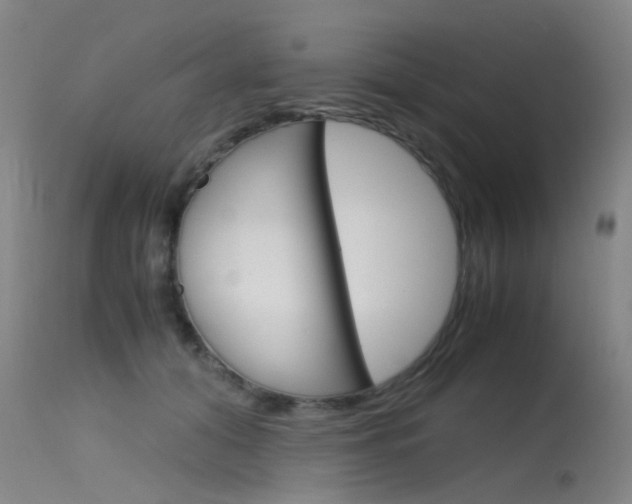 X0000115720608200911121104