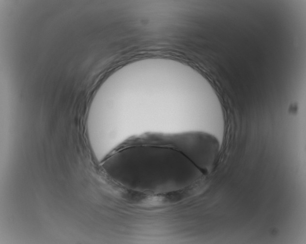 X0000115720609200911121104