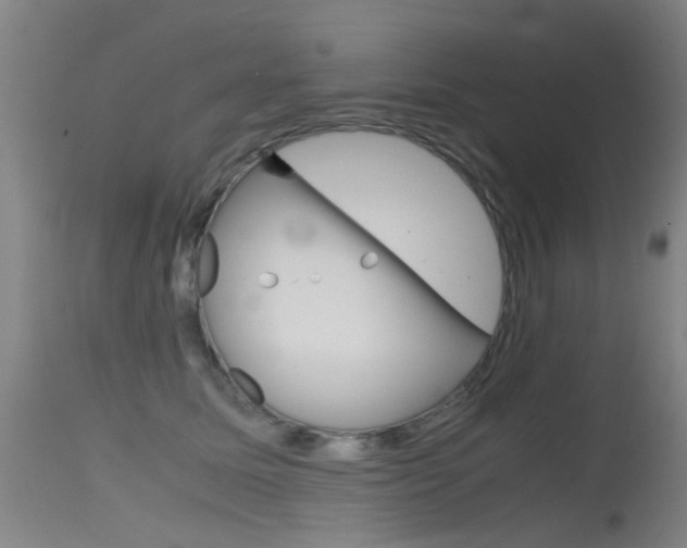 X0000115720611200911121104